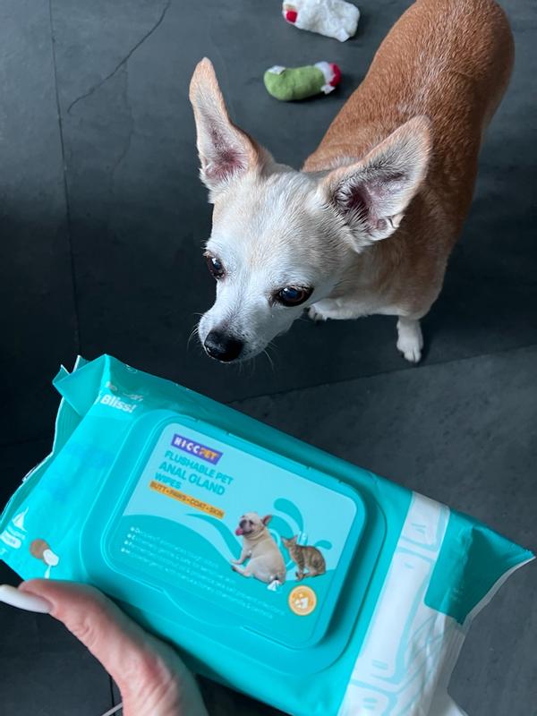 Әйелінің сиськи порно видео