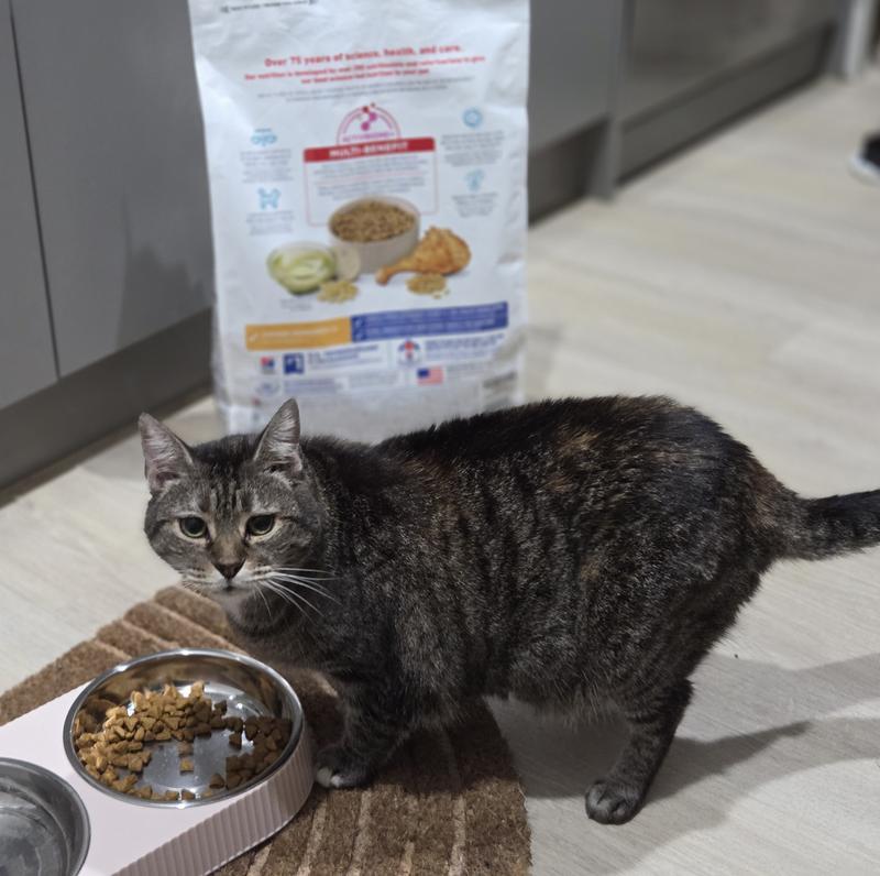 Enjoying her yummy Hill's Science Diet food!