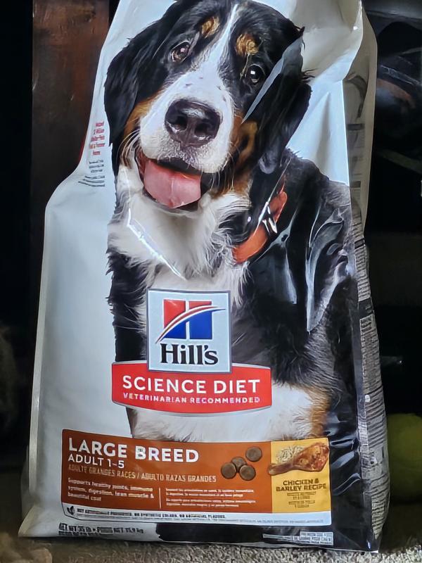 Dog food