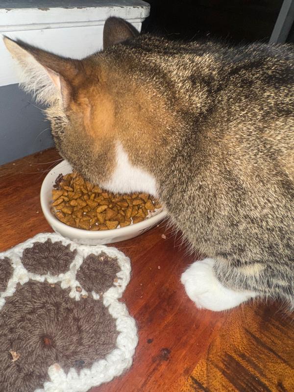 Arthur eating dinner