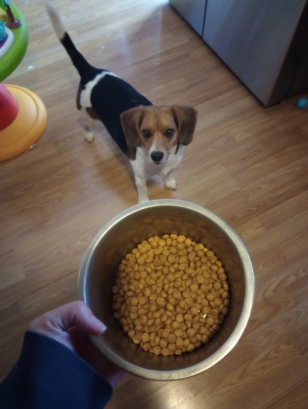 Dinner time!