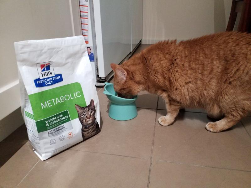 Metabolic Chicken Flavour Dry Cat Food Hill's Prescription Diet