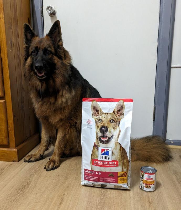 Hill s Science Diet Adult Chicken Barley Recipe Dry Dog Food Petsense