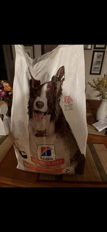 Dogs food bag