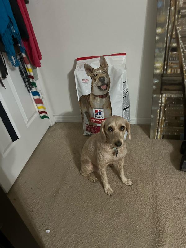 The bag is bigger than her