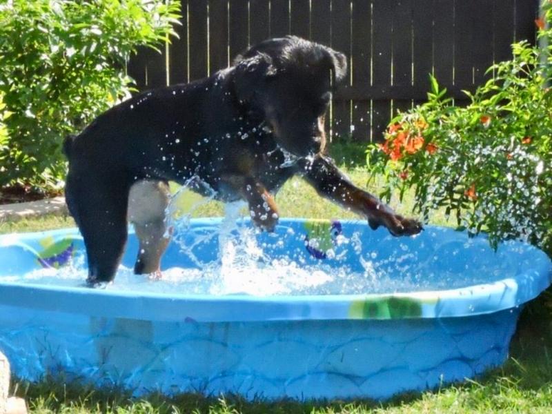 Fun in my pool