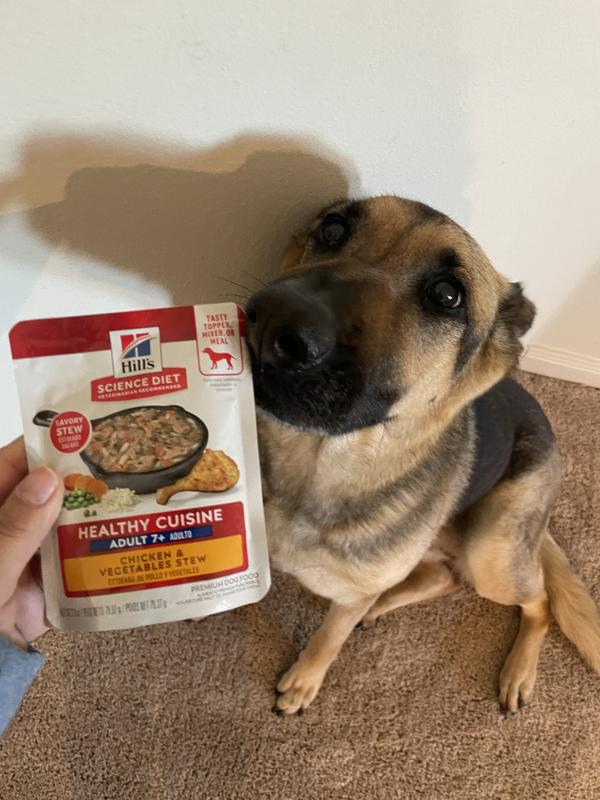 purina dog food sensitive skin Purina Pro Plan Sensitive Skin & Stomach Large Breed Salmon & Rice Formula  - New Era, MI - Montague, MI main image 1