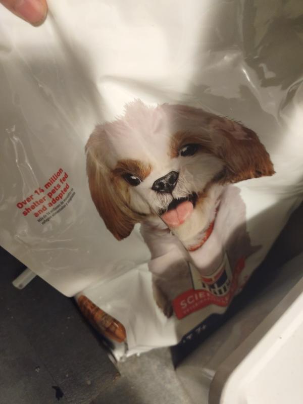 Dog food bag