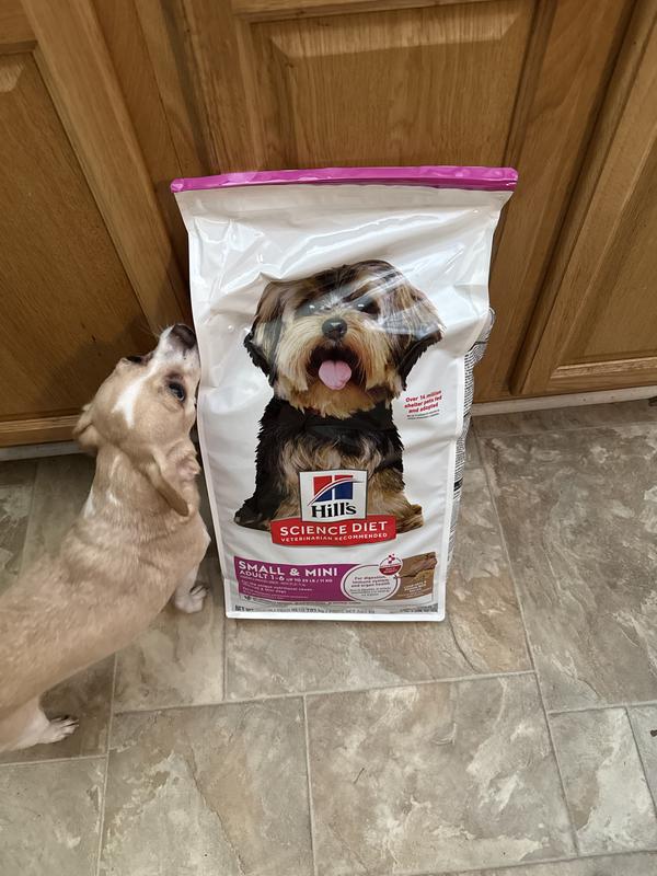Fresh bag