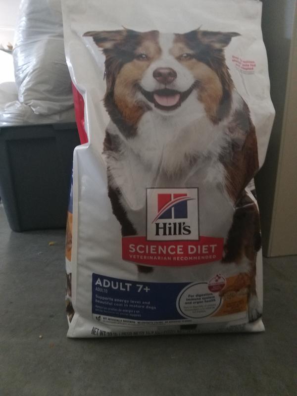 Just say yes to a healthy new dog food