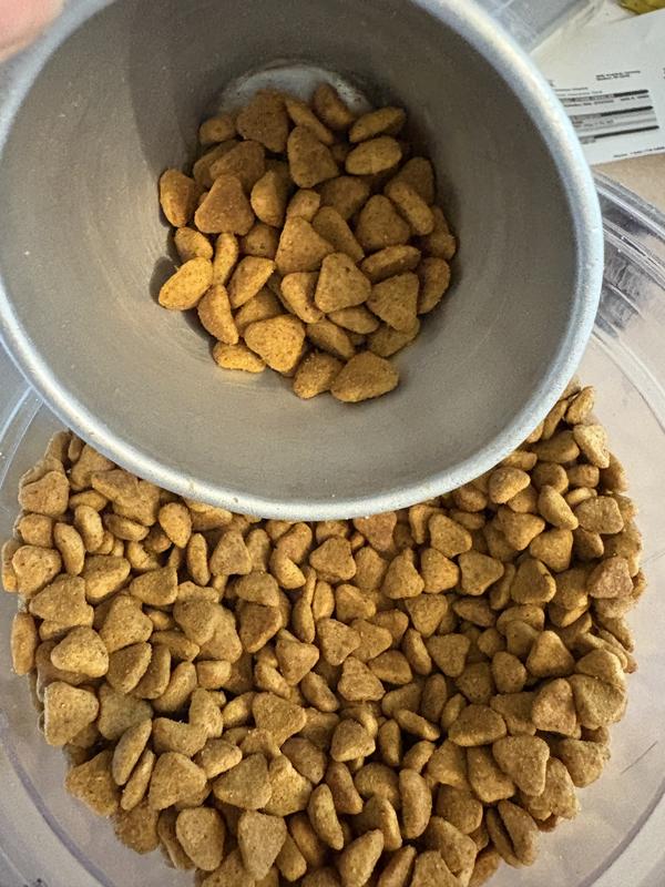 Small easy to chew pieces