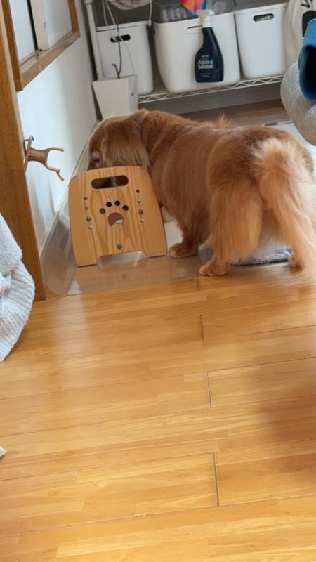 犬用〉腸内バイオーム 小粒 ドライ | ヒルズ プリスクリプション