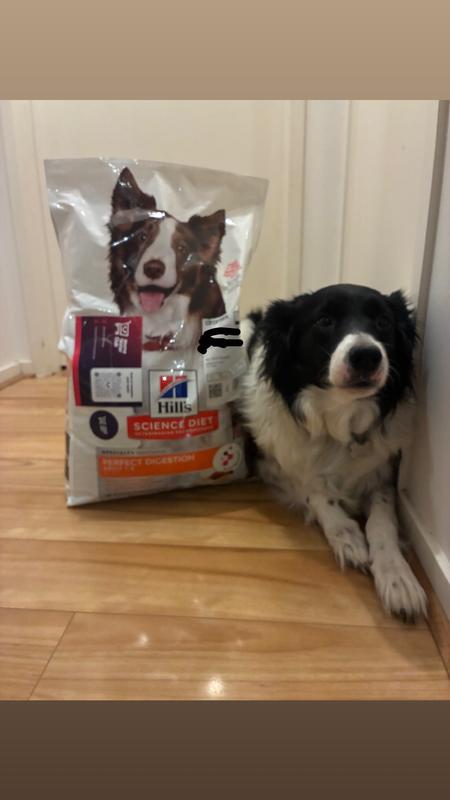Bonnie is very excited to eat her new food