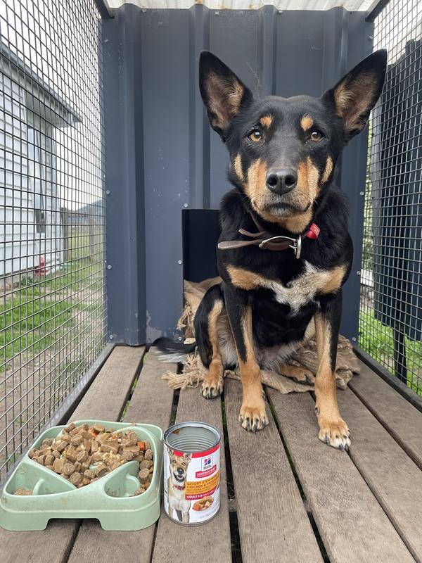 Millie with her food