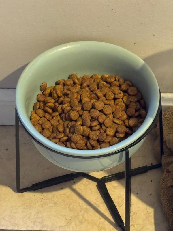 dog food