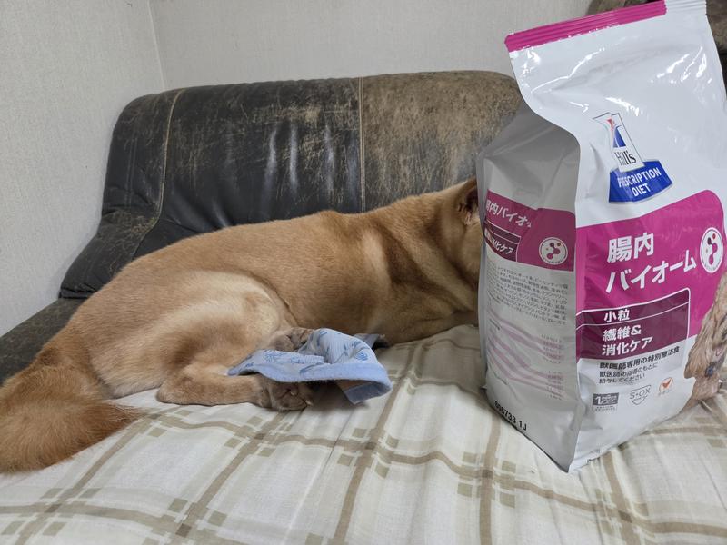 犬用〉腸内バイオーム 小粒 ドライ | ヒルズ プリスクリプション