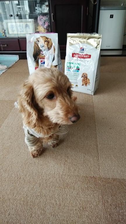 小型犬用 シニアライト 7歳以上 肥満傾向の高齢犬用 チキン | ヒルズ