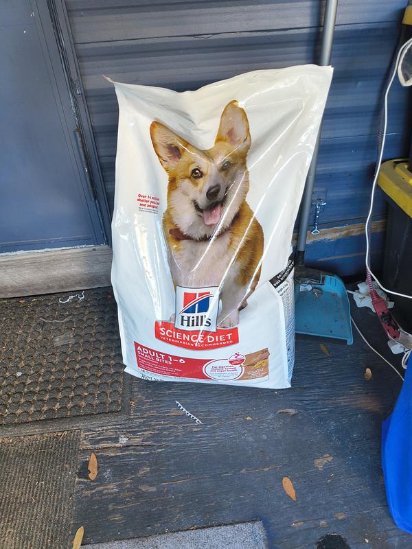 Bag of dog food
