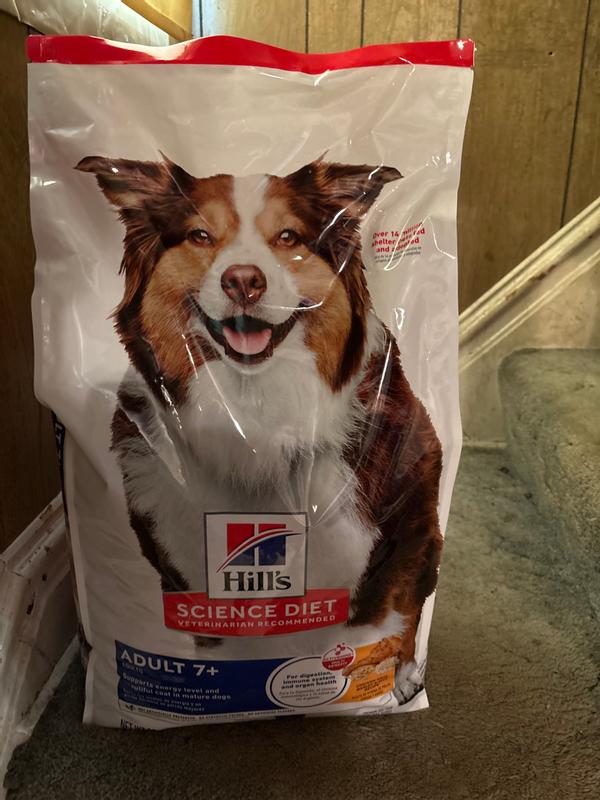 Dog food
