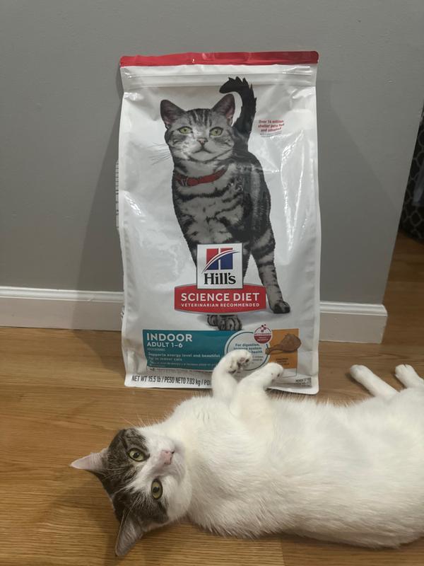 Cat Food and Stormi