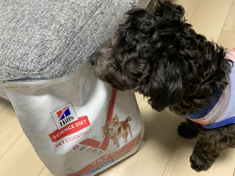 小型犬用 マルチケア（避妊・去勢後にも） 超小粒 成犬 1～6歳 ラム