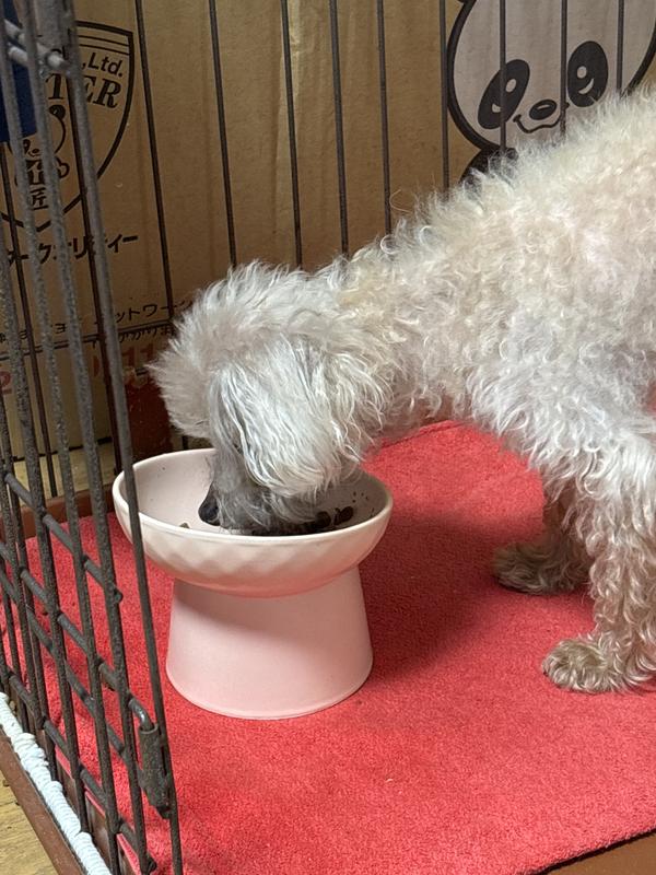 犬用〉腸内バイオーム 小粒 ドライ | ヒルズ プリスクリプション