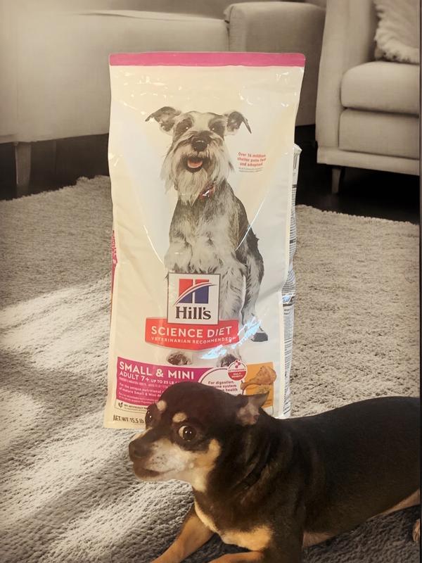 Hills Science for Mature Small Dogs