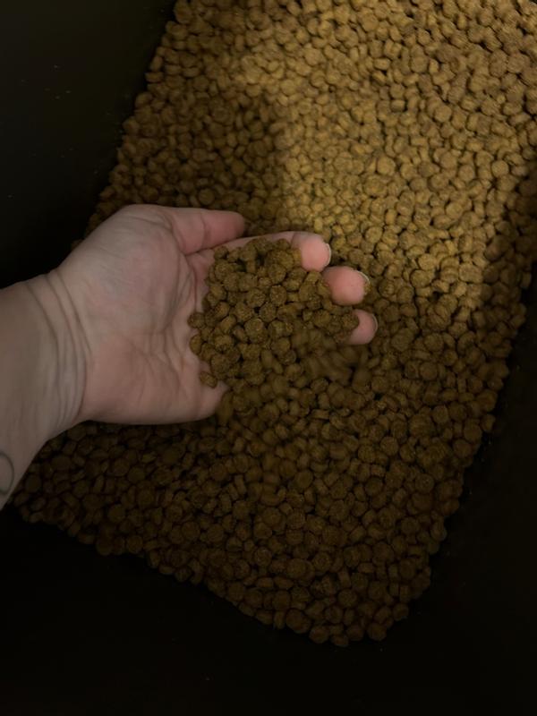 Perfect Size, Flavor AND Ingredients!