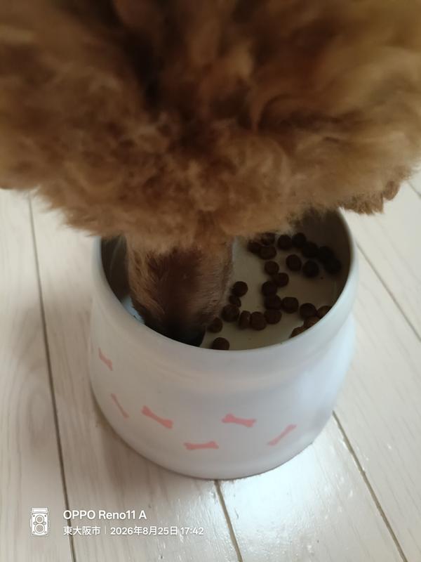 犬用〉w/d ダブリューディー 小粒 ドライ | ヒルズ プリスクリプション