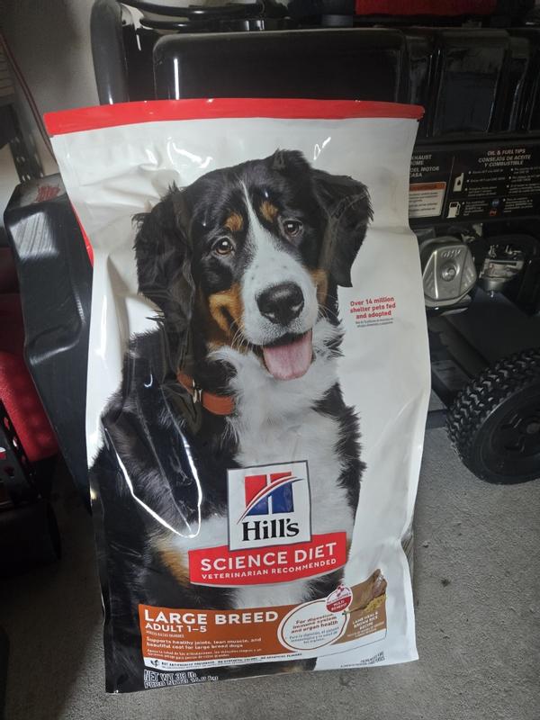 Dog Food