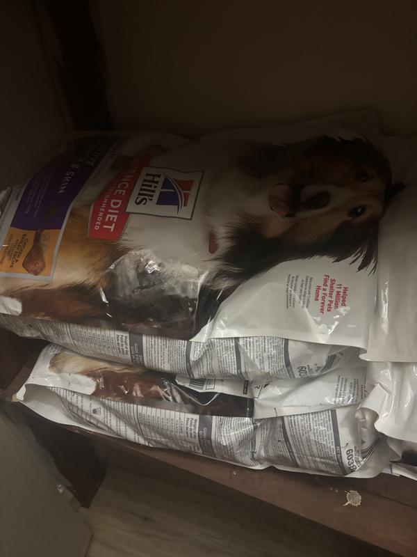 Hill’s Science Diet Sensitive Skin and Stomach Dog Food