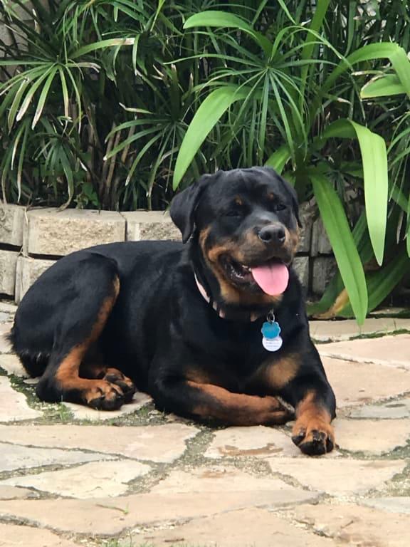 Lounging on the patio