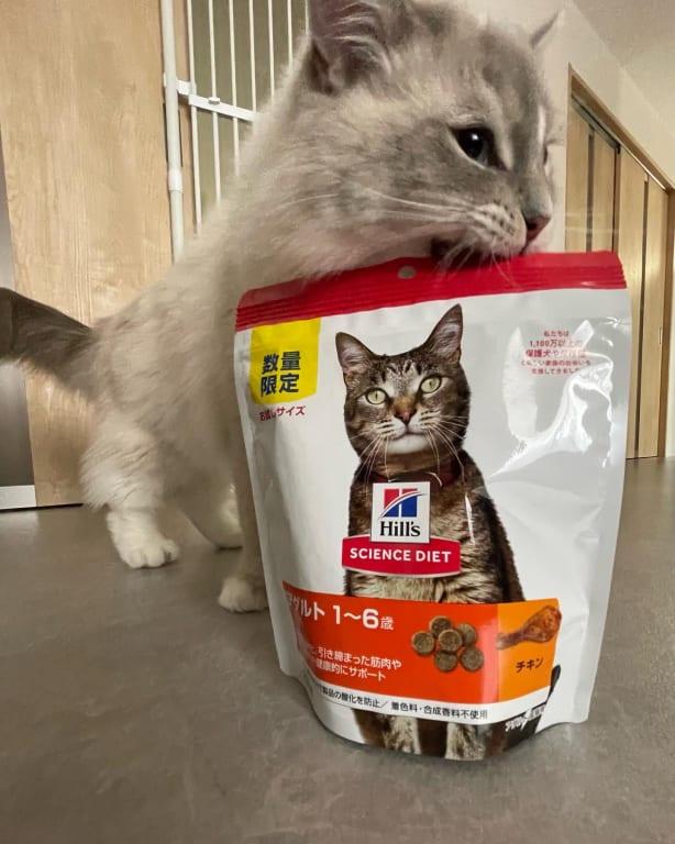 アダルト 1~6歳 成猫用 チキン | ヒルズ サイエンス・ダイエット