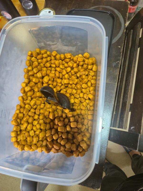 Hill's dry cat food