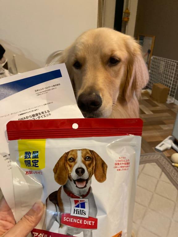 アダルト 1～6歳 小粒 成犬用 チキン | ヒルズ サイエンス・ダイエット