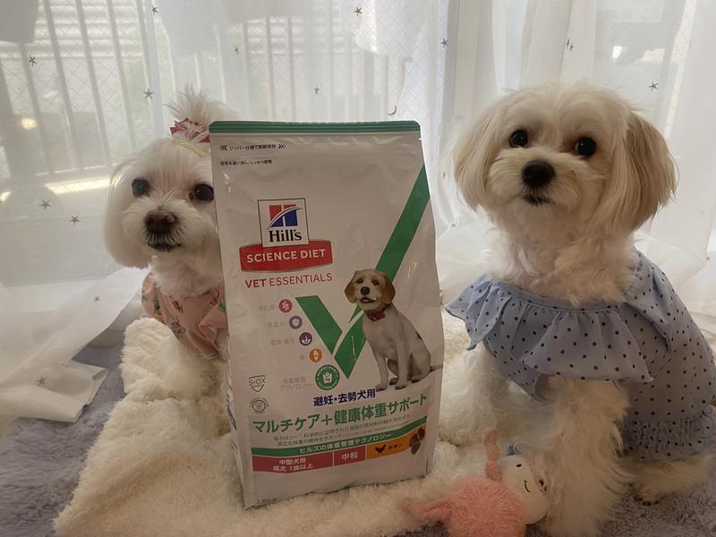 犬用〉オールスキンバリア 小粒 ドライ | ヒルズ プリスクリプション
