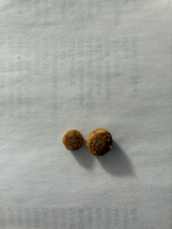 Left new food right old food