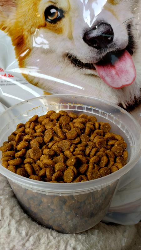 Greatest dog food to Trigger voracious appetite