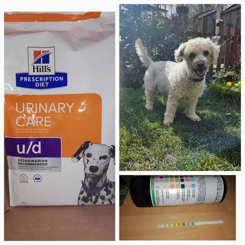 u/d Dry Dog Food Original | Hill's Prescription Diet
