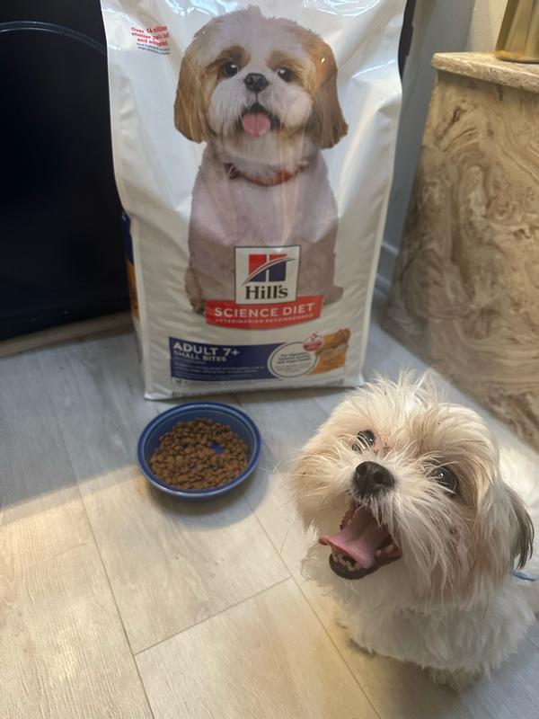 Pookie loves the food he likes earning snacks with it as well!