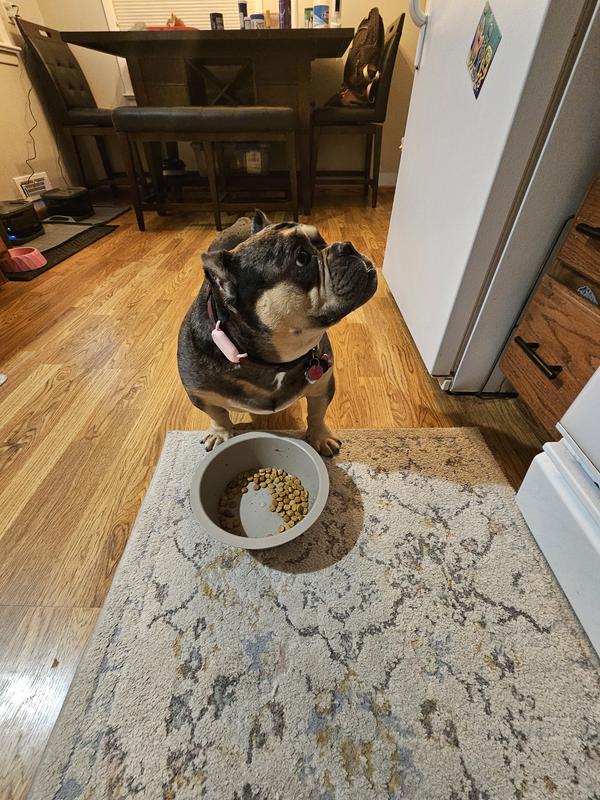 Dinner time