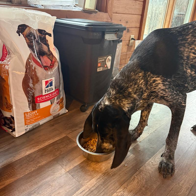 Mogli enjoying his new food!