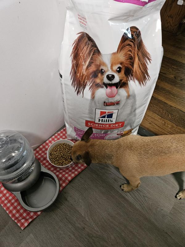 Fun enjoying his new food