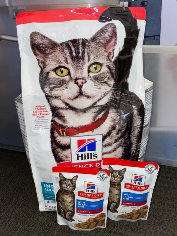 Hills so cat food sale