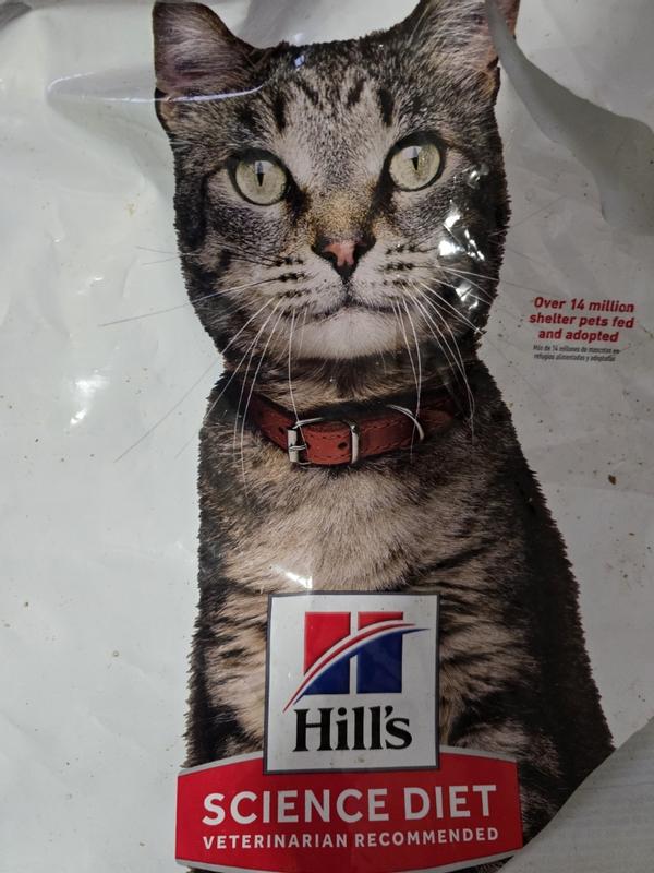 Hill's Science Diet dry cat food