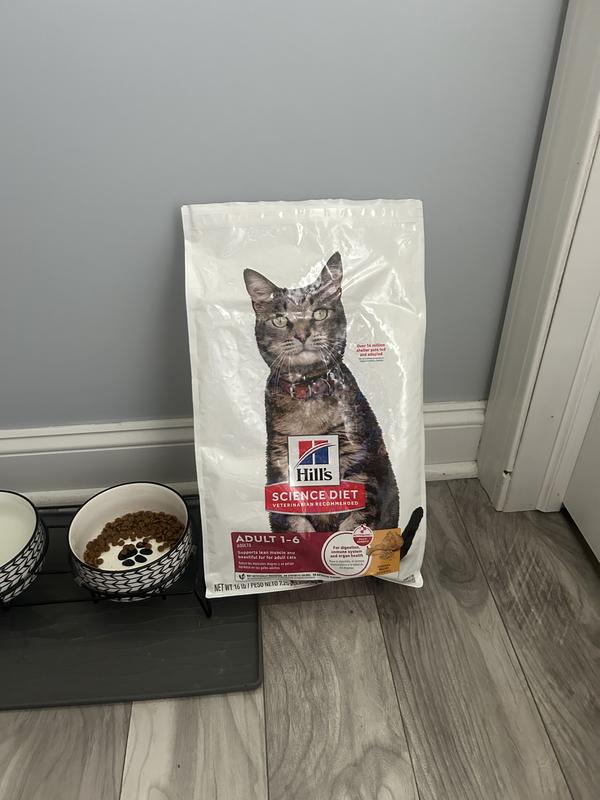 Hills science cat food