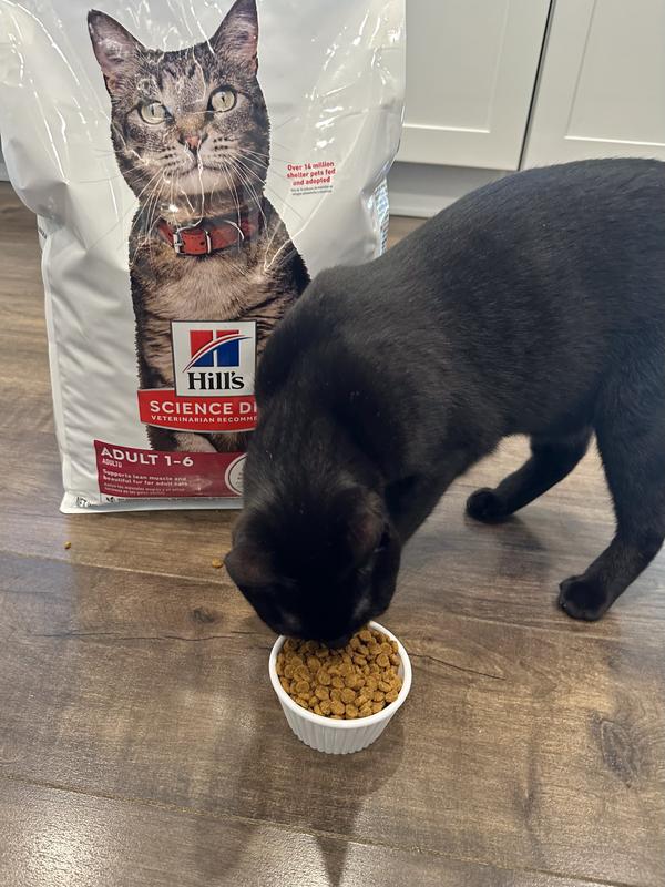 Lava loves Hill’s Science Diet!