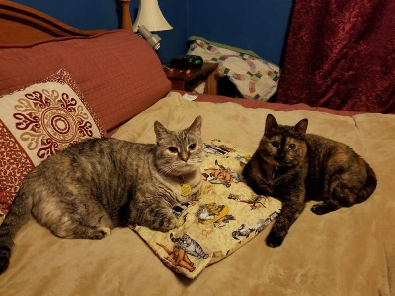 Just hanging out-Molly on right