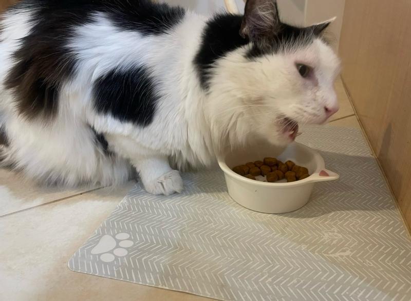 Crunch crunch