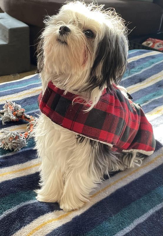 Do not have a picture of the product. It was given to a senior dog, my dog is only 3.
